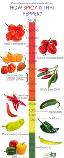 pepper scale